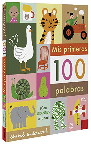 Mis primeras 100 palabras [Board book]