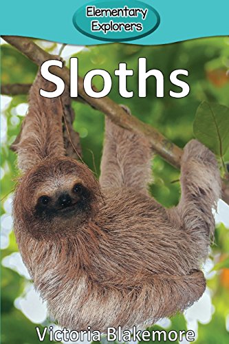 Sloths (elementary Explorers) [Paperback]