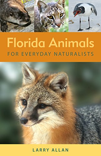 Florida Animals For Everyday Naturalists [Paperback]