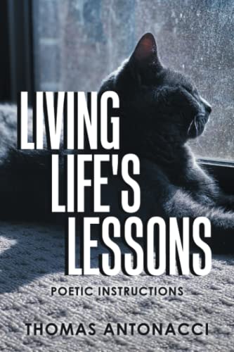 Living Life's Lessons  Poetic Instructions [Paperback]