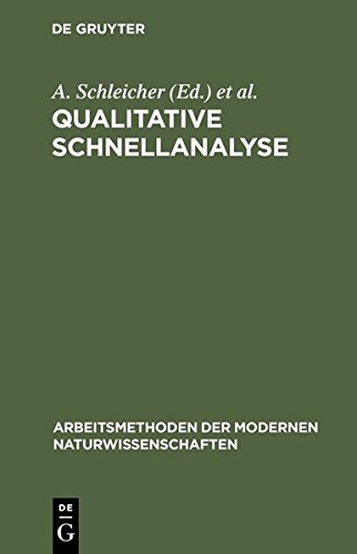Qualitative Schnellanalyse [Hardcover]