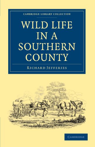 Wild Life in a Southern County [Paperback]
