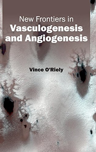 New Frontiers In Vasculogenesis And Angiogenesis [Hardcover]