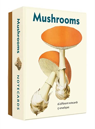 Mushrooms An Abbeville Notecard Set [Cards]