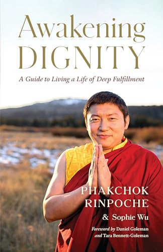 Awakening Dignity A Guide to Living a Life of Deep Fulfillment [Paperback]