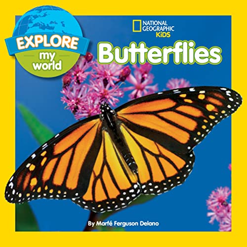 Explore My World Butterflies [Paperback]