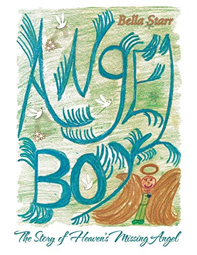 Angel Boy The Story Of Heaven's Missing Angel [Paperback]