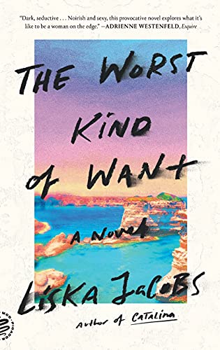 The Worst Kind of Want A Novel [Paperback]