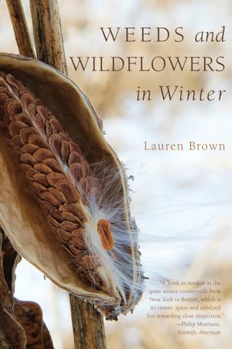 Weeds and Wildflowers in Winter [Paperback]