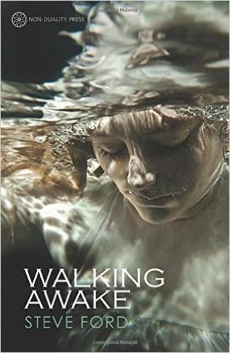 Walking Awake [Paperback]