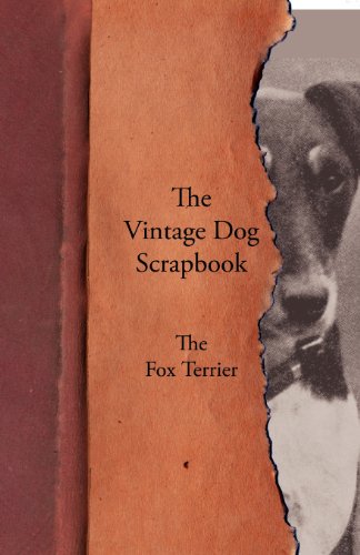 Vintage Dog Scrapbook - the Fox Terrier [Paperback]