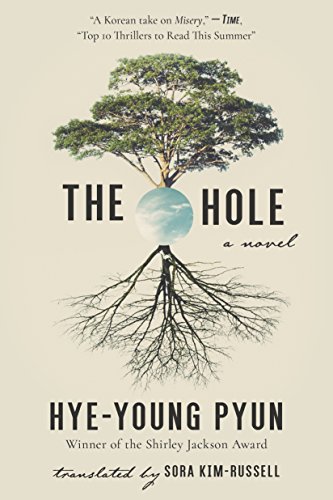 The Hole A Novel [Paperback]