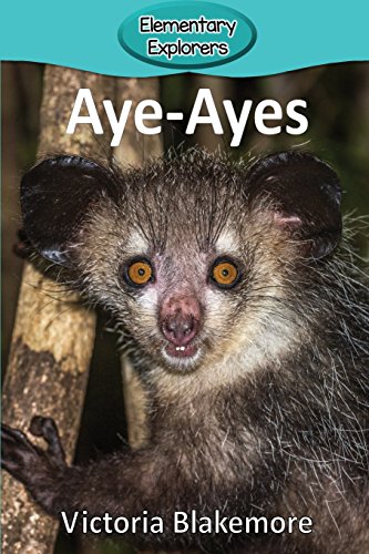 Aye-Ayes [Paperback]