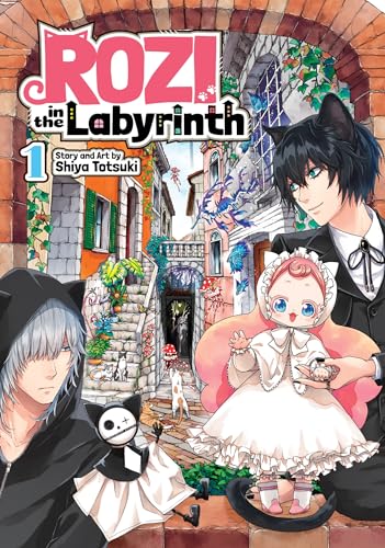 Rozi in the Labyrinth Vol. 1 [Paperback]