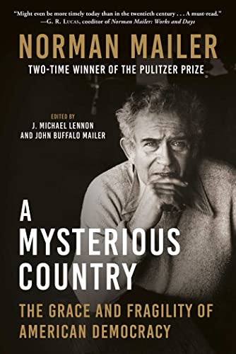 A Mysterious Country The Grace and Fragility of American Democracy [Hardcover]