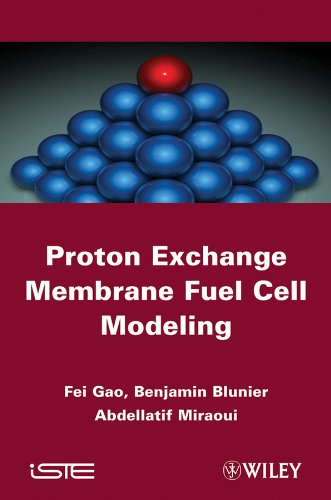 Proton Exchange Membrane Fuel Cells Modeling [Hardcover]