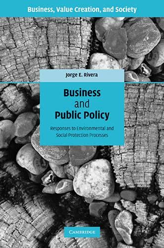 Business and Public Policy Responses to Environmental and Social Protection Pro [Hardcover]