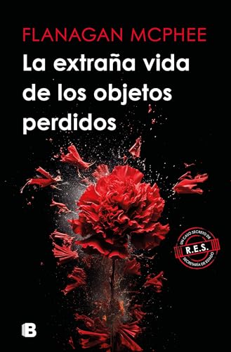 La extraa vida de los objetos perdidos / The Strange Life of Lost Objects [Paperback]