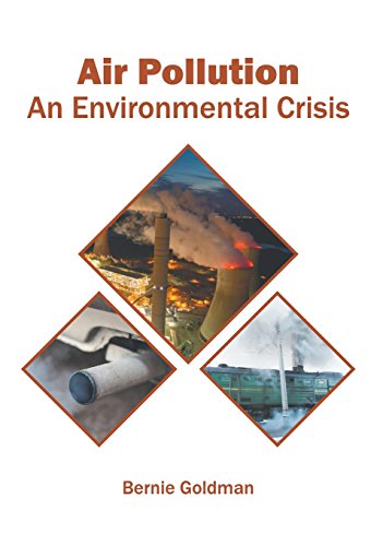 Air Pollution An Environmental Crisis [Hardcover]