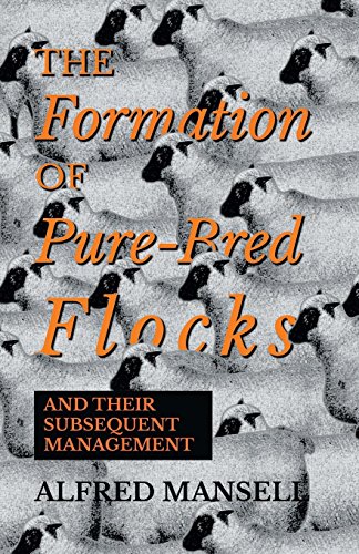 Formation of Pure-Bred Flocks and Their Subsequent Management [Paperback]