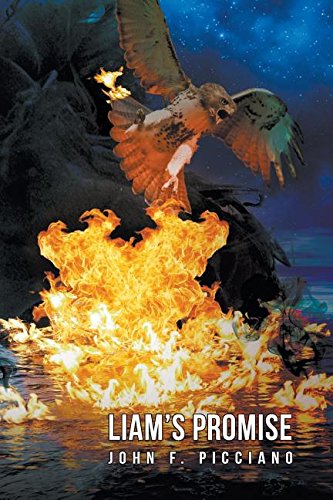 Liam's Promise [Paperback]