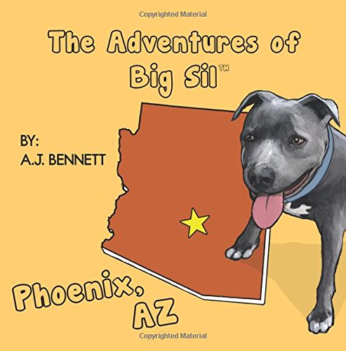 The Adventures Of Big Sil Phoenix, Az Children's Book [Paperback]