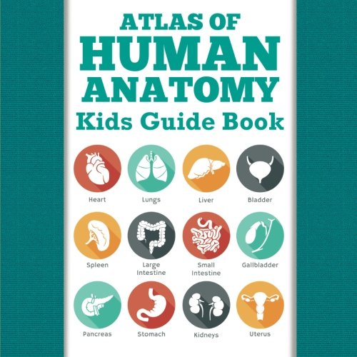 Atlas Of Human Anatomy Kids Guide Book [Paperback]