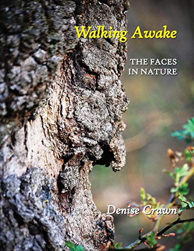 Walking Awake The Faces In Nature [Paperback]