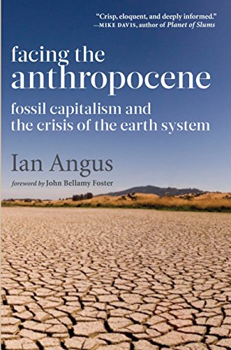 Facing the Anthropocene Fossil Capitalism and the Crisis of the Earth System [Hardcover]
