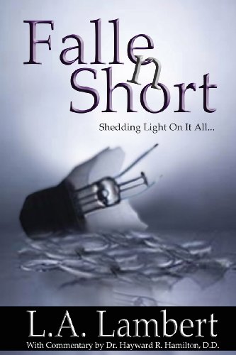 Fallen Short  Shedding Light on It All [Paperback]