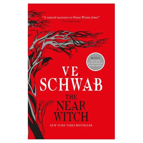 The Near Witch [Paperback]