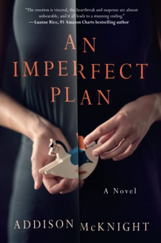 Imperfect Plan                           [TRADE PAPER         ]