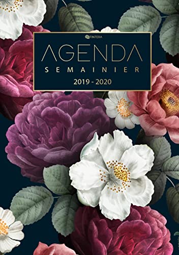 Agenda Semainier 2019 2020 - Agenda de Poche et Calendrier Aot 2019  dcembre  [Paperback]