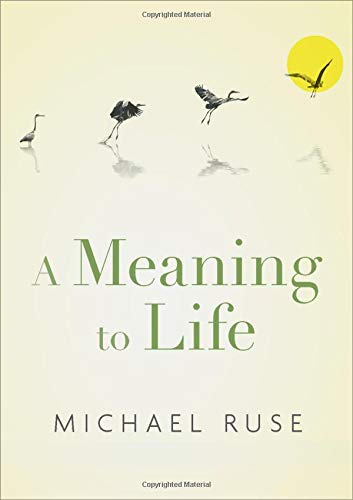 A Meaning to Life [Hardcover]