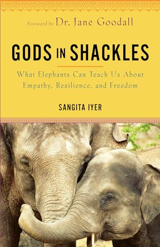 Gods in Shackles What Elephants Can Teach Us About Empathy, Resilience, and Fre [Paperback]