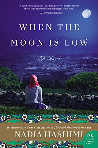 When the Moon Is Low A Novel [Paperback]
