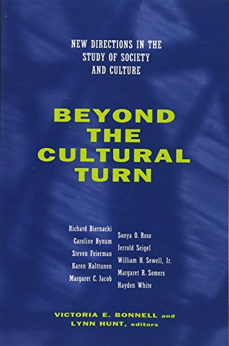 Beyond the Cultural Turn New Directions in the Study of Society and Culture [Paperback]