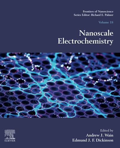 Nanoscale Electrochemistry [Paperback]