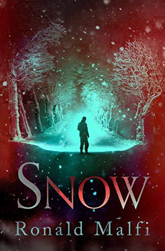 Snow [Paperback]