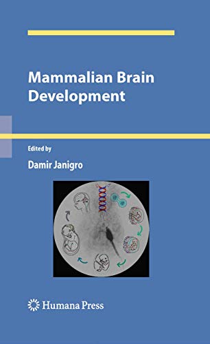 Mammalian Brain Development [Paperback]