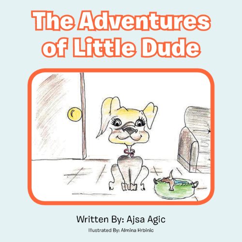 Adventures of Little Dude [Paperback]