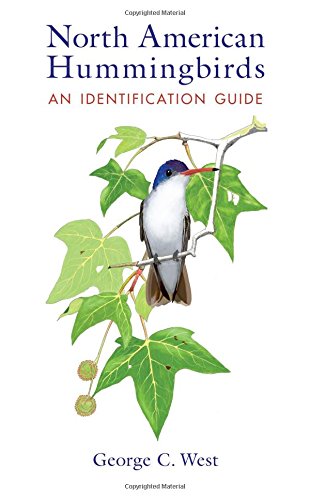 North American Hummingbirds An Identification Guide [Paperback]