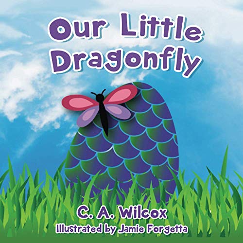 Our Little Dragonfly [Paperback]