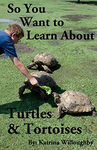 So You Want to Learn About Turtles & Tortoises [Paperback]