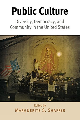 Public Culture Diversity, Democracy, And Community In The United States [Paperback]