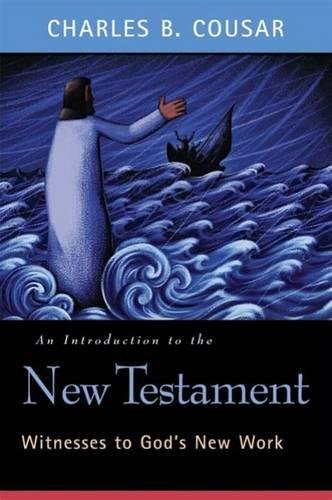 An Introduction To The New Testament Witnesses To God's New Work [Paperback]