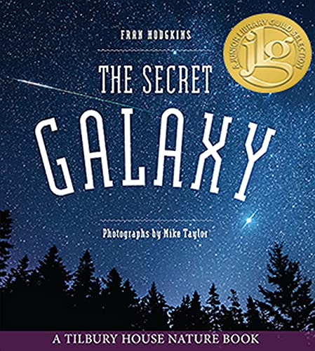 The Secret Galaxy [Paperback]