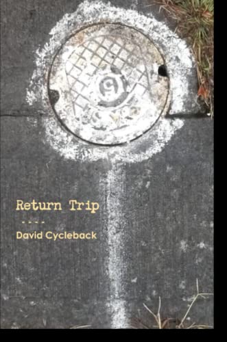 Return Trip [Paperback]