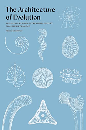 The Architecture of Evolution The Science of Form in Twentieth-Century Evolutio [Hardcover]
