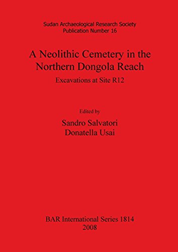 Neolithic Cemetery in the Northern Dongola Reach  Excavations at Site R12 [Paperback]